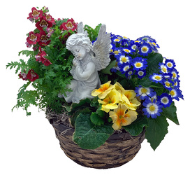 DFP274 Cold Crop Blooming Plants In A Basket w/Angel  